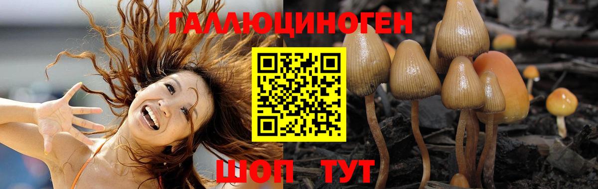 Новошахтинск  Галлюциногенные грибы прущие грибы  Вход с VPN 